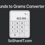 Pounds to Grams Converter